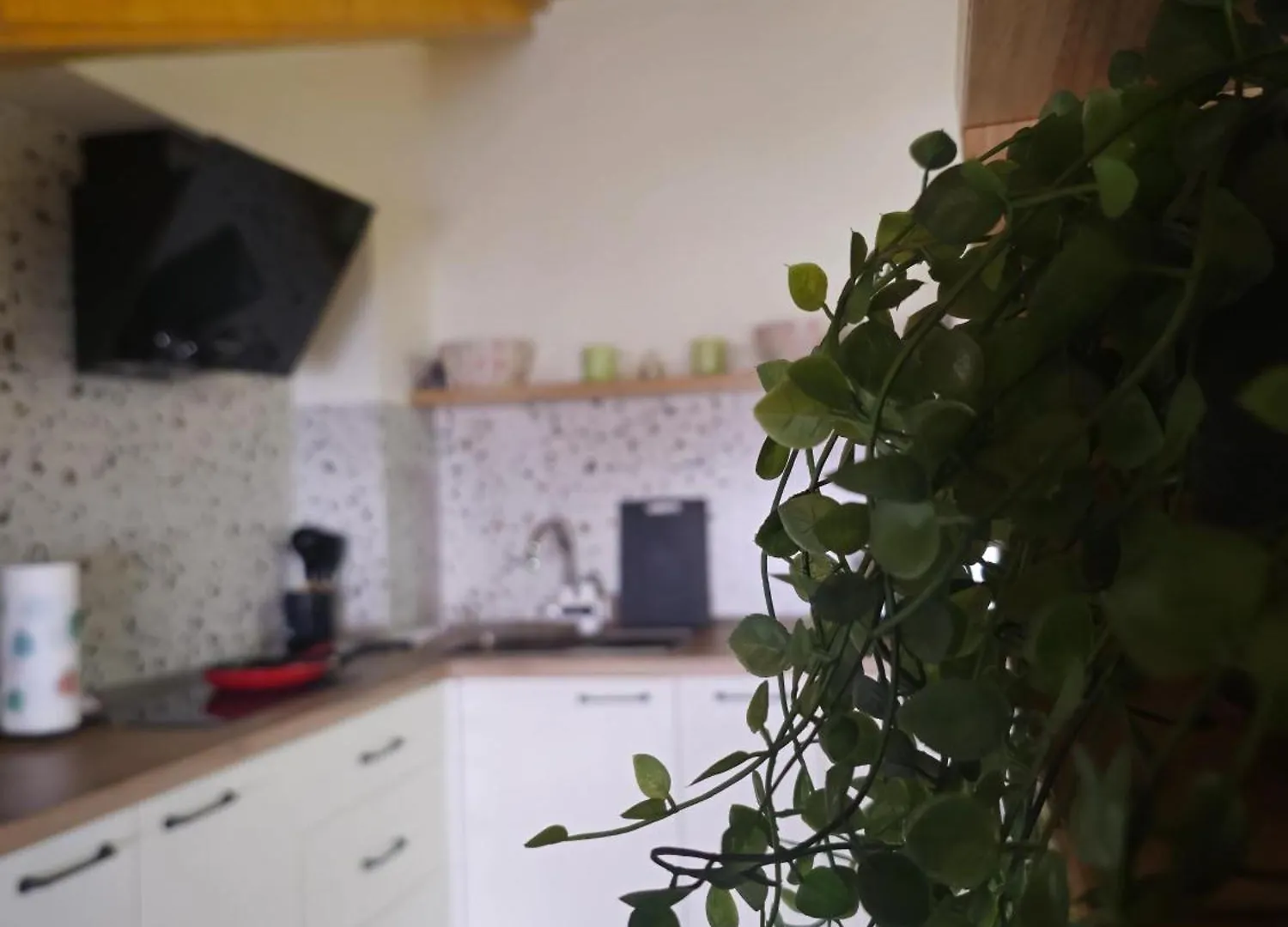 Apartment Lulebore Apartament 1 Tirana